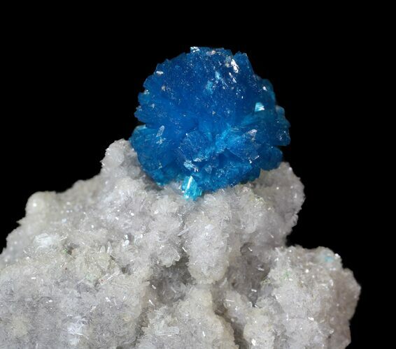 Vibrant Blue Cavansite Cluster on Stilbite - India #62871